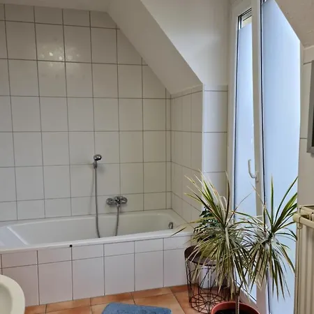 Privat bolig Lichtdurchflutetes - Mainwiesen *