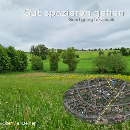 Lichtdurchflutetes - Mainwiesen Homestay