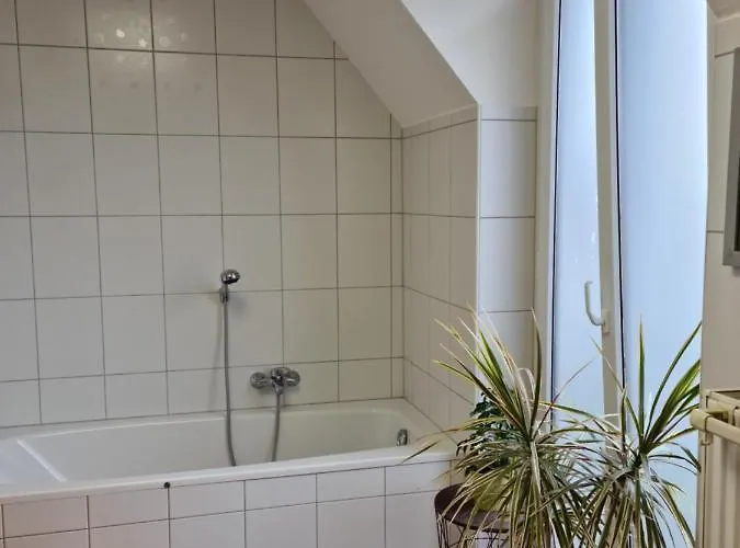 Homestay Lichtdurchflutetes - Mainwiesen *