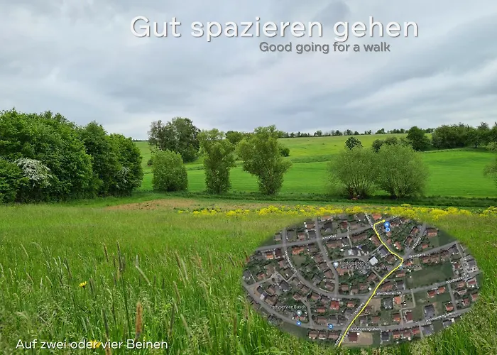 Lichtdurchflutetes - Mainwiesen Homestay