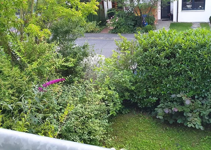 Lichtdurchflutetes - Mainwiesen Homestay *